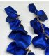 PENDIENTES VUA